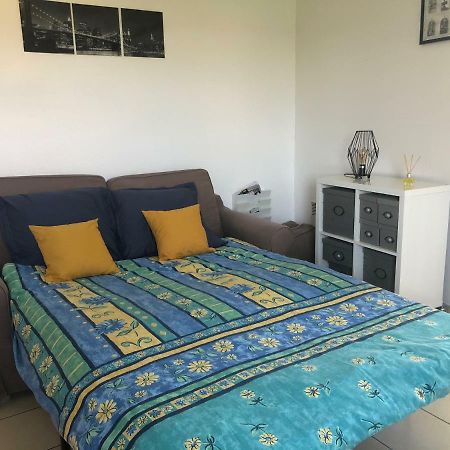 Appartement Au Milieu Des Lacs, Au Bord Du Guiers Aoste 外观 照片
