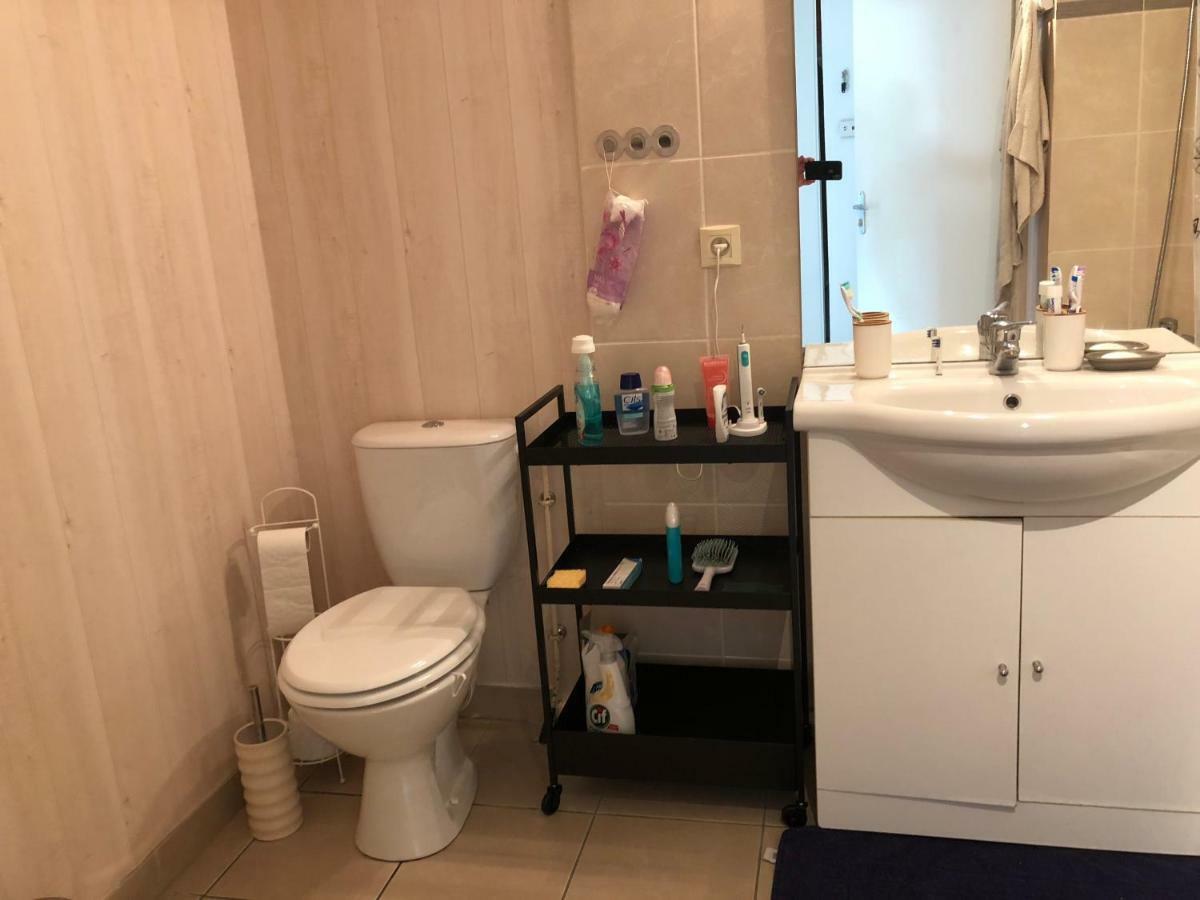 Appartement Au Milieu Des Lacs, Au Bord Du Guiers Aoste 外观 照片